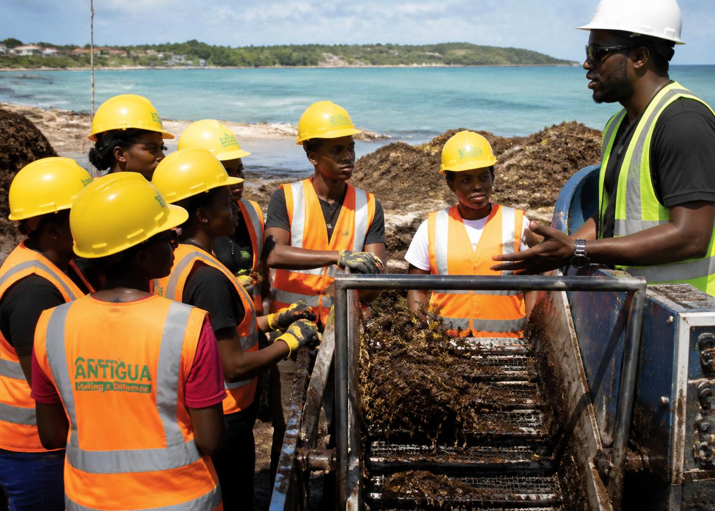 Antiguan workers and trainees at a coastal sargassum recovery operation
